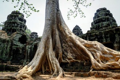 the temple of angkor wat