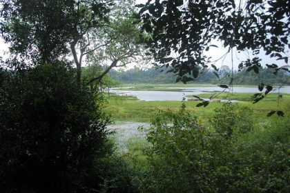 tour nam cat tien national park