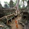 vietnam cambodia laos tour packages - ta prohm