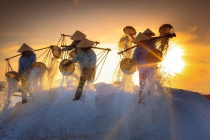 visit salt field asia holiday packages